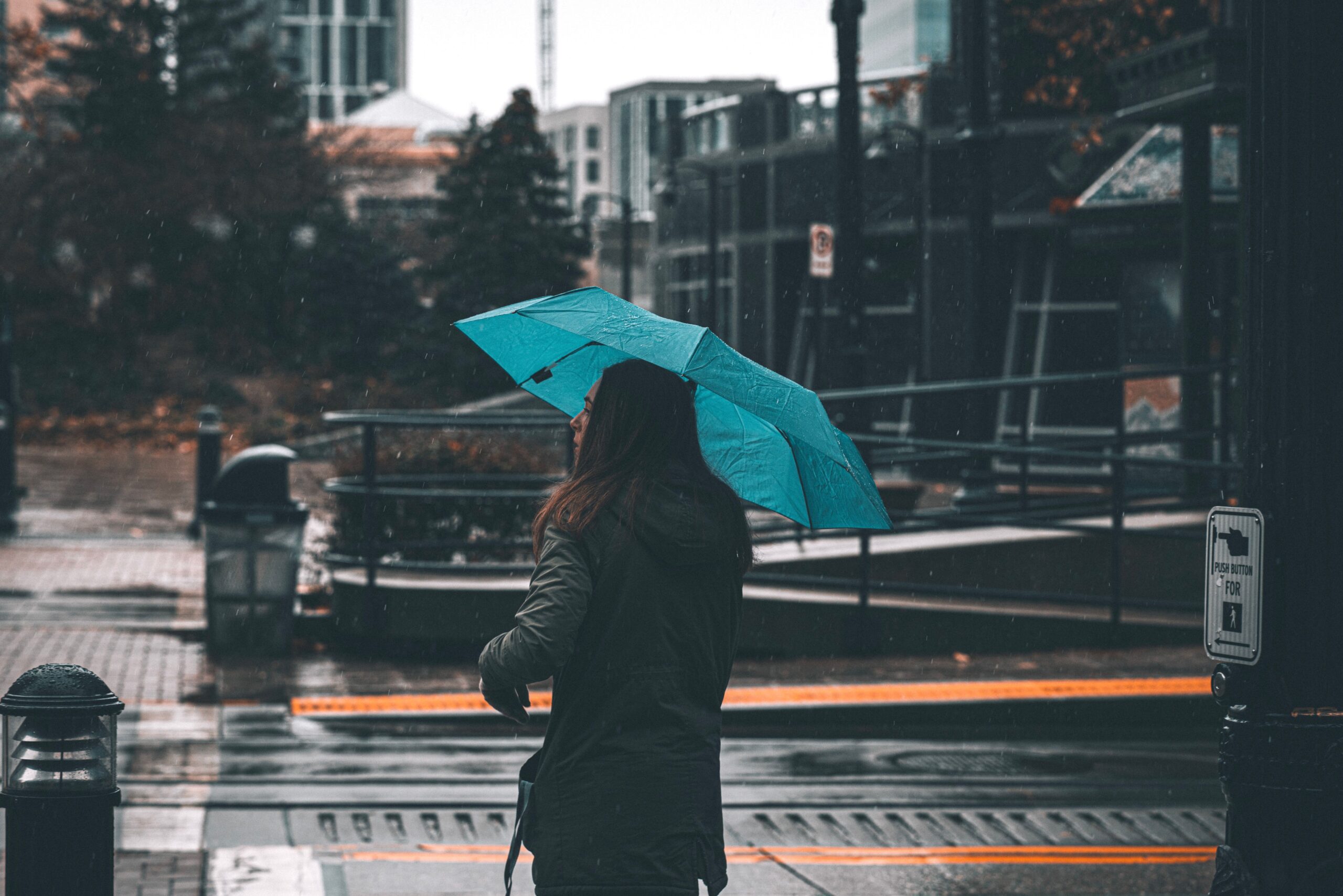 Jak rozpoznać trwały parasol jeszcze przed zakupem?